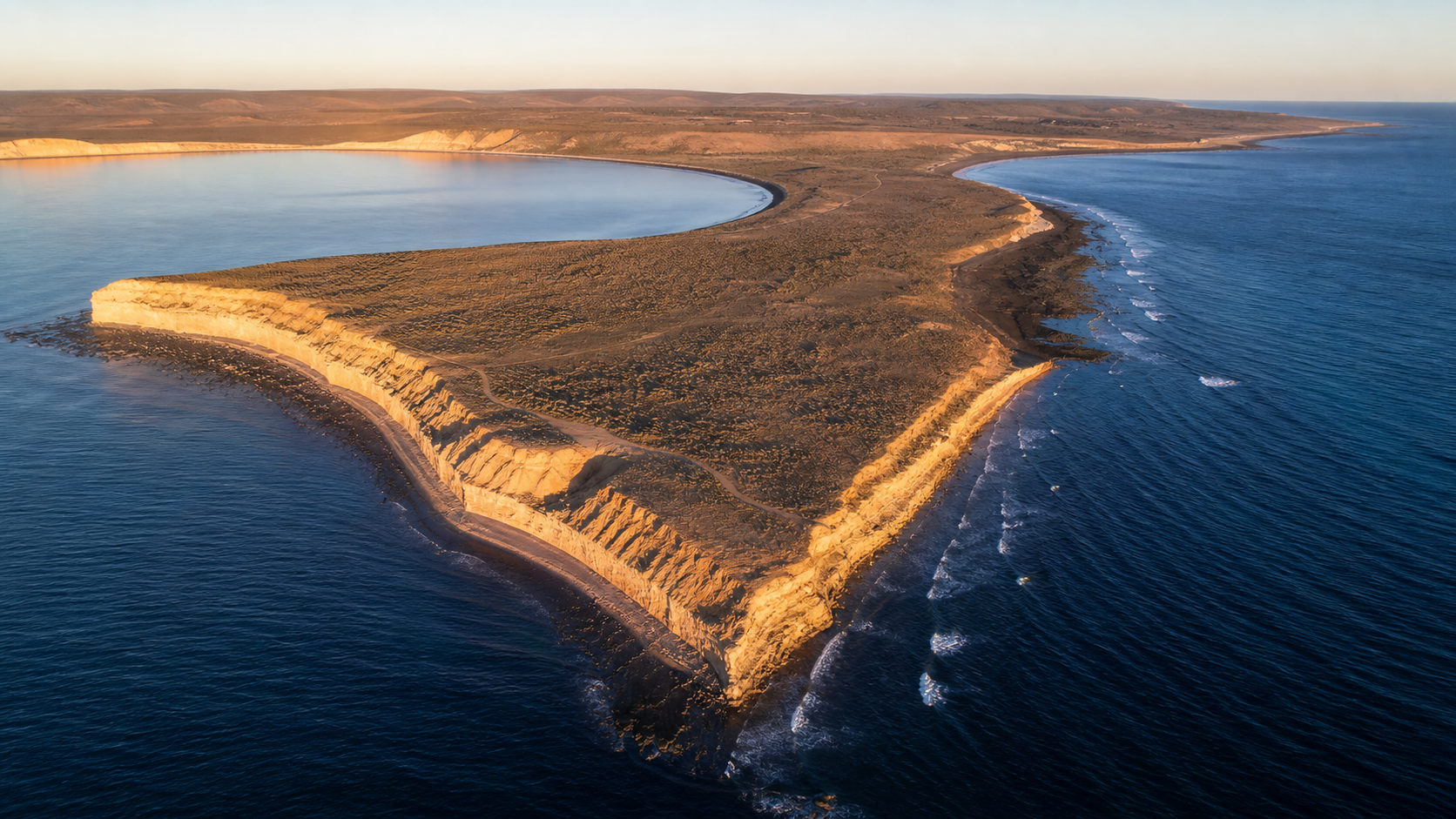 Costa de acantilados, estepa y golfos de Península Valdés