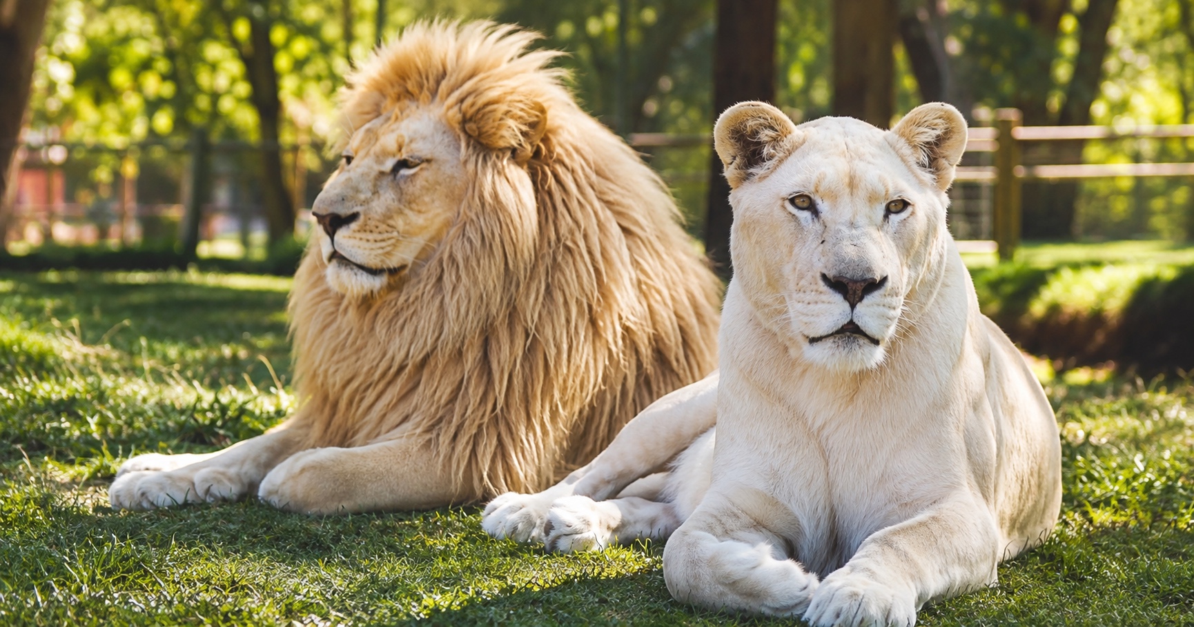 Parque Safari Chile